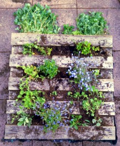 Vertical Garden